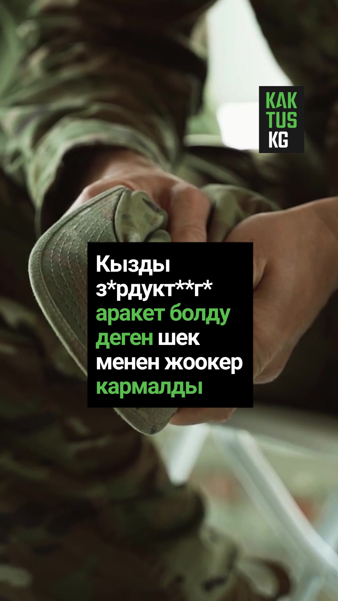@Kaktus KG