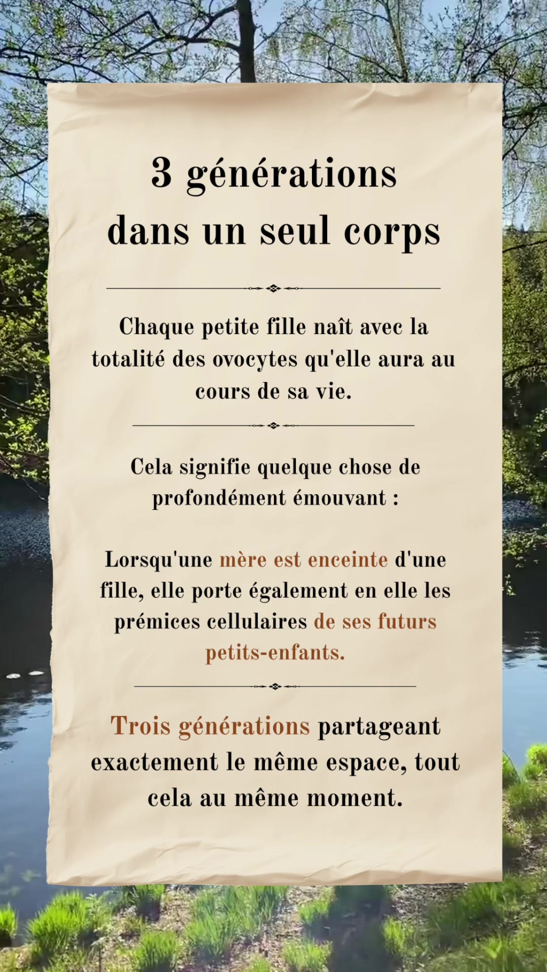 @MyHeritage France