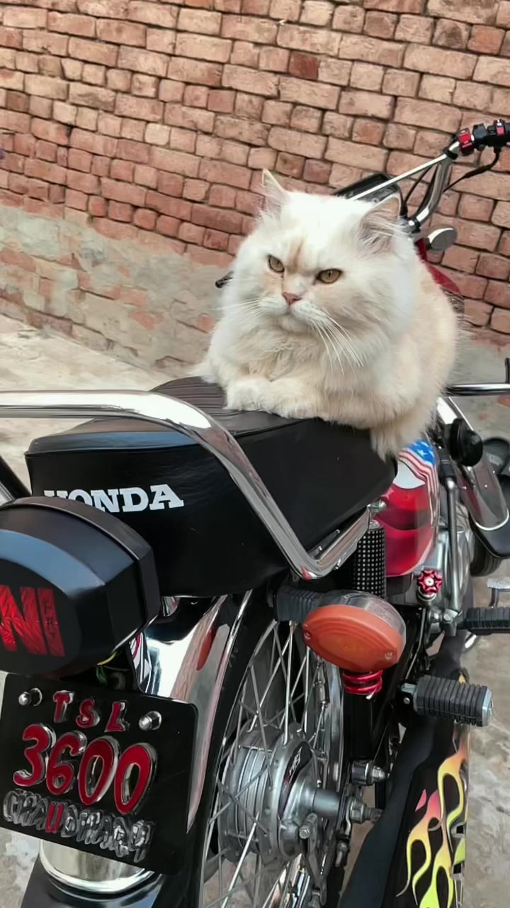 @Waqas Hameed