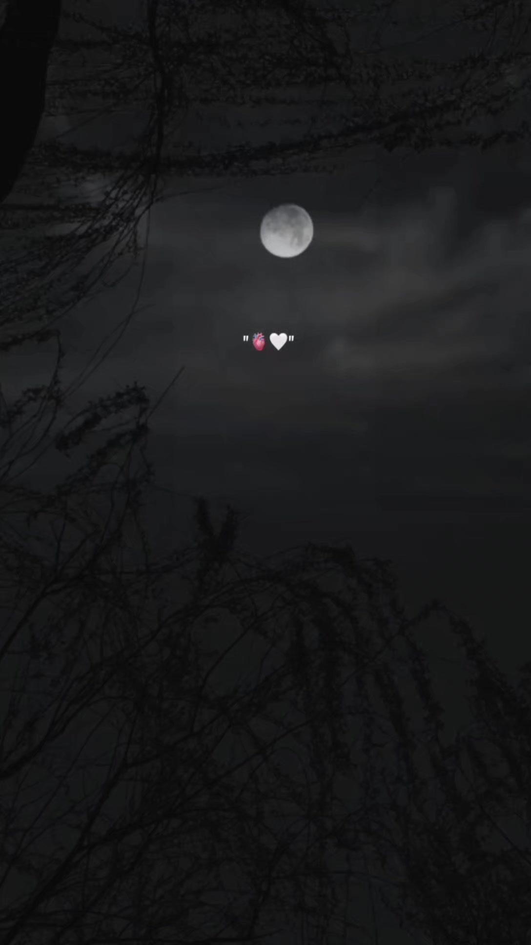 @𝗔,𝗥 ♡