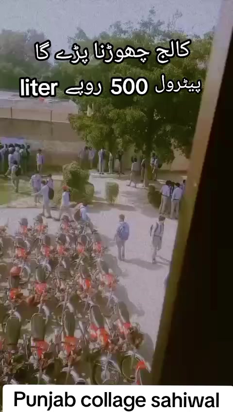@Punjab collage sahiwal