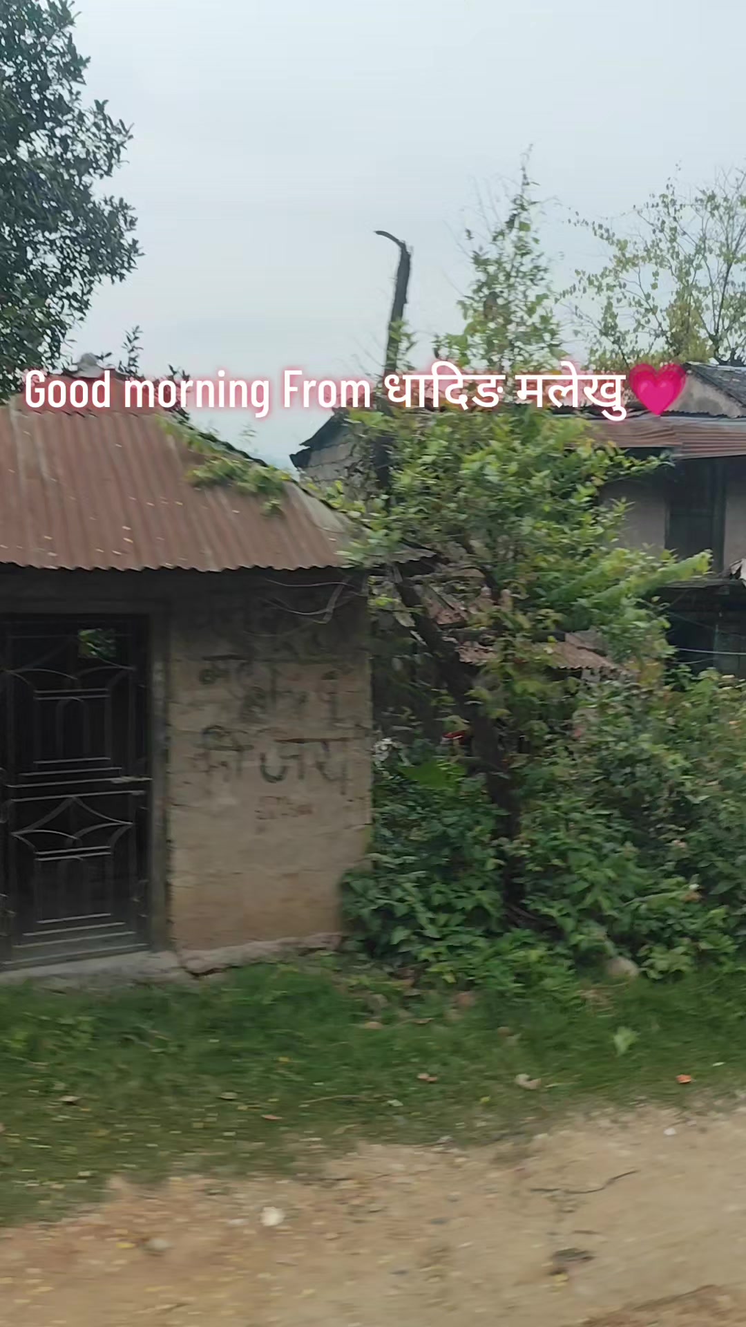 @Keshar Budha chhetri