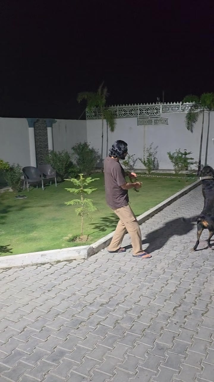@jazib.warraich50