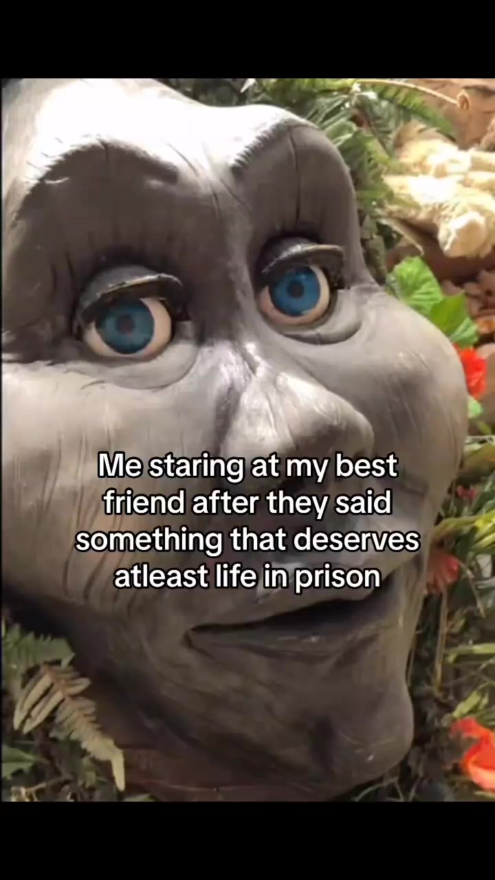 @๐๐๐ซ๐ฅ