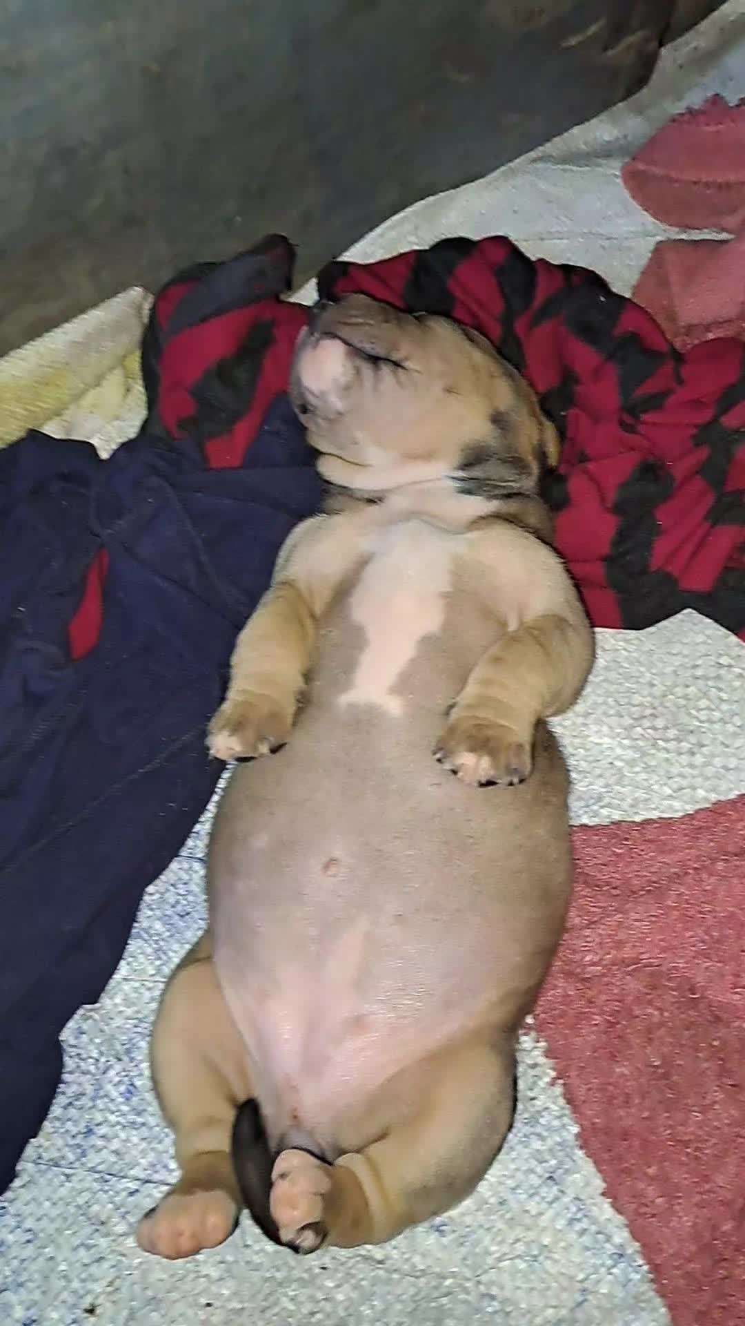 @🦋 Mi cosita🦋