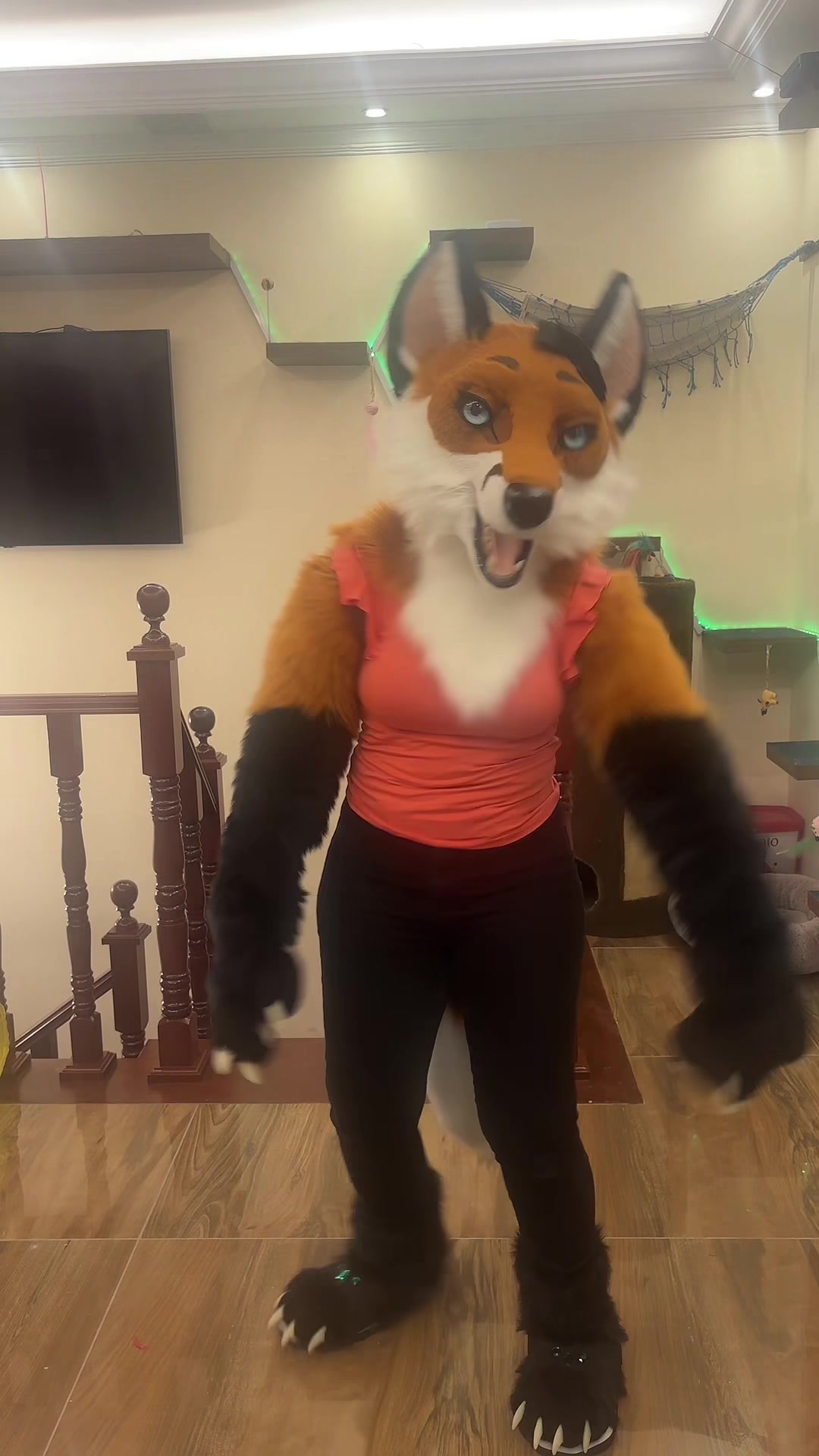 @Cindy fox