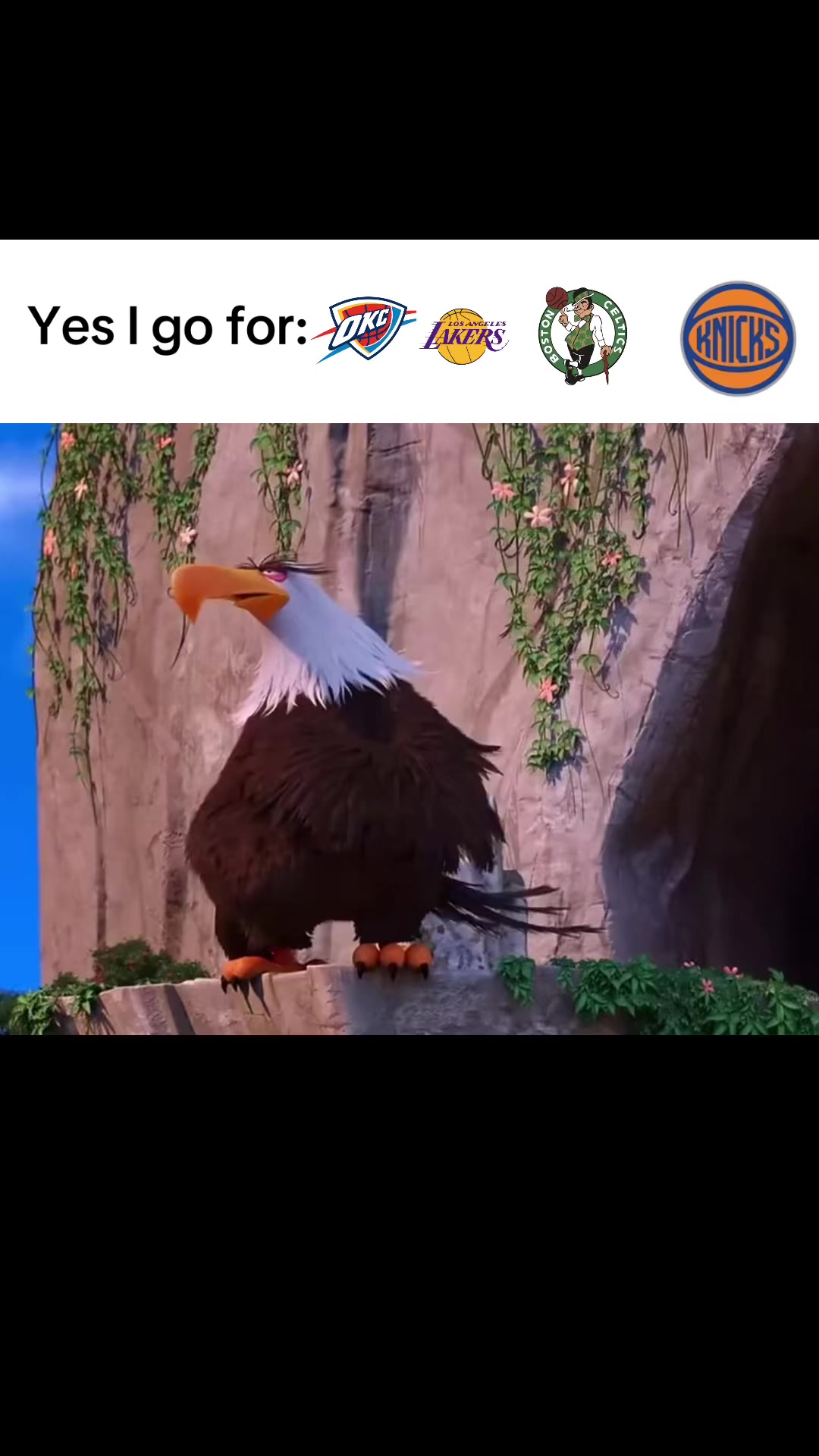 @checkz.nba