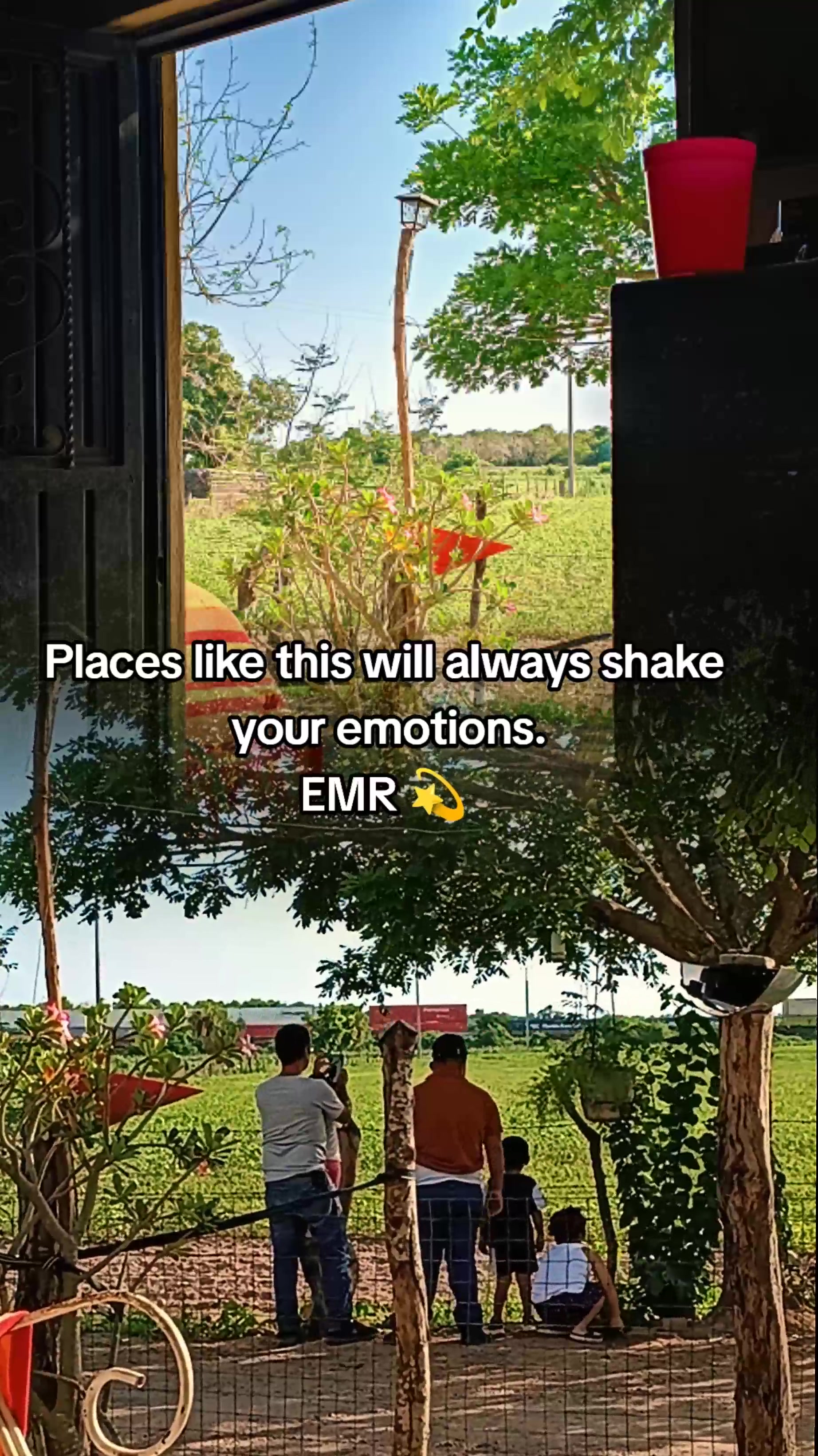 @MSCK