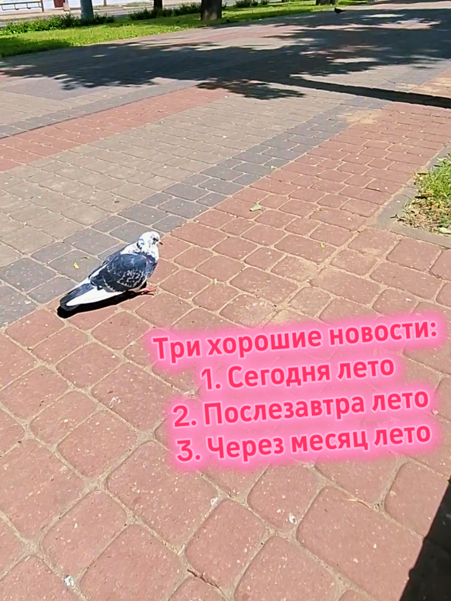 @belka🐿️