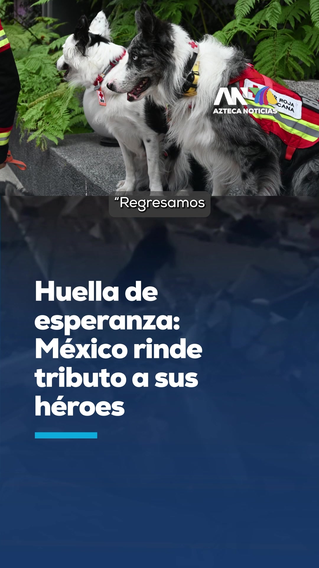 @Azteca Noticias
