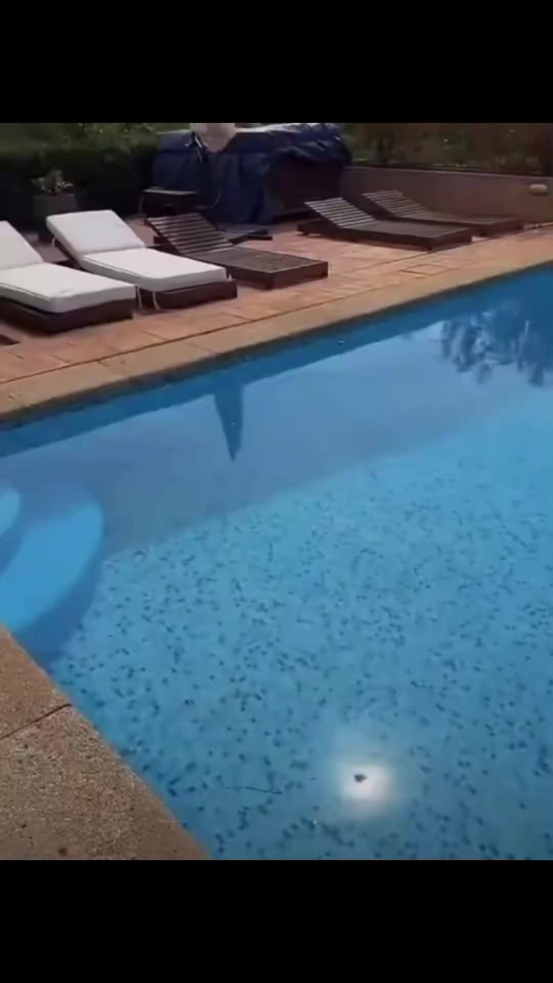 @𝘛𝘩𝘦𝘩𝘰𝘭𝘪𝘤