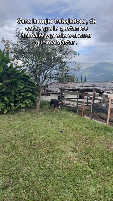 @Eli López 🦜 team periquito 🫀