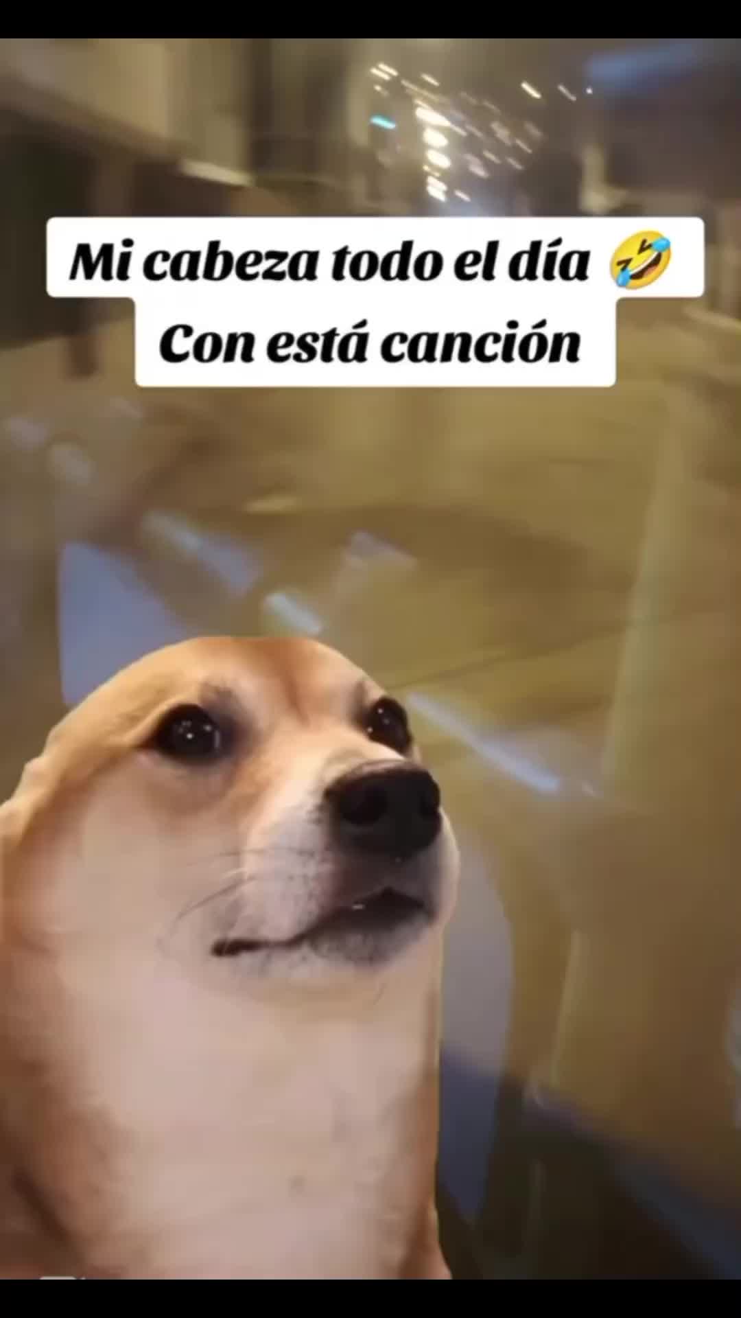 @Julián Cuaical