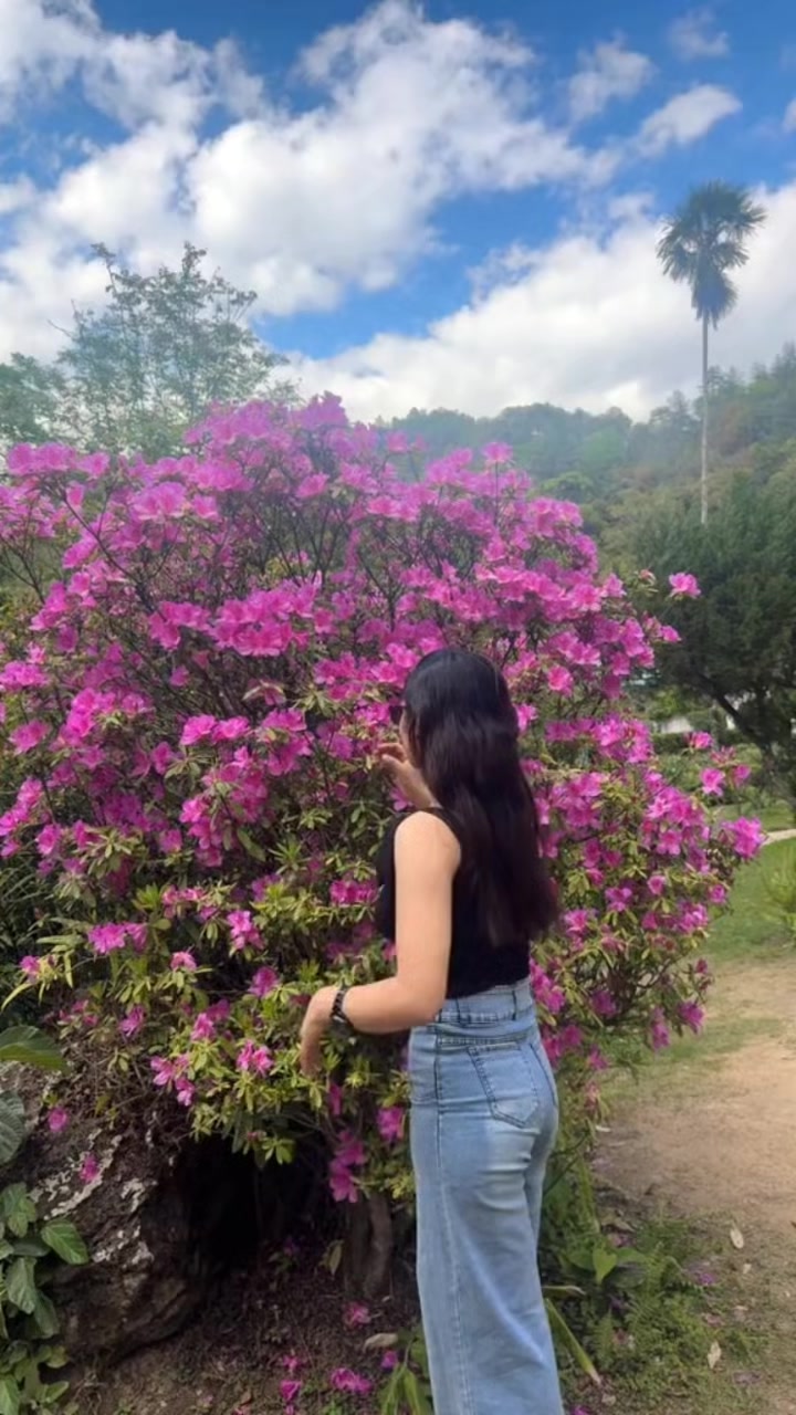 @Sakura_591 💫🦋