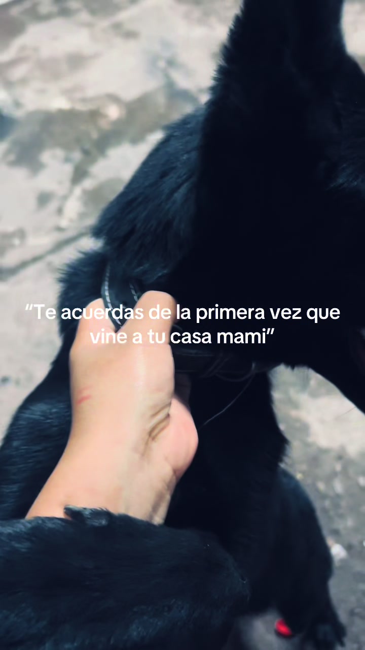 @vieja_sabrosa_0