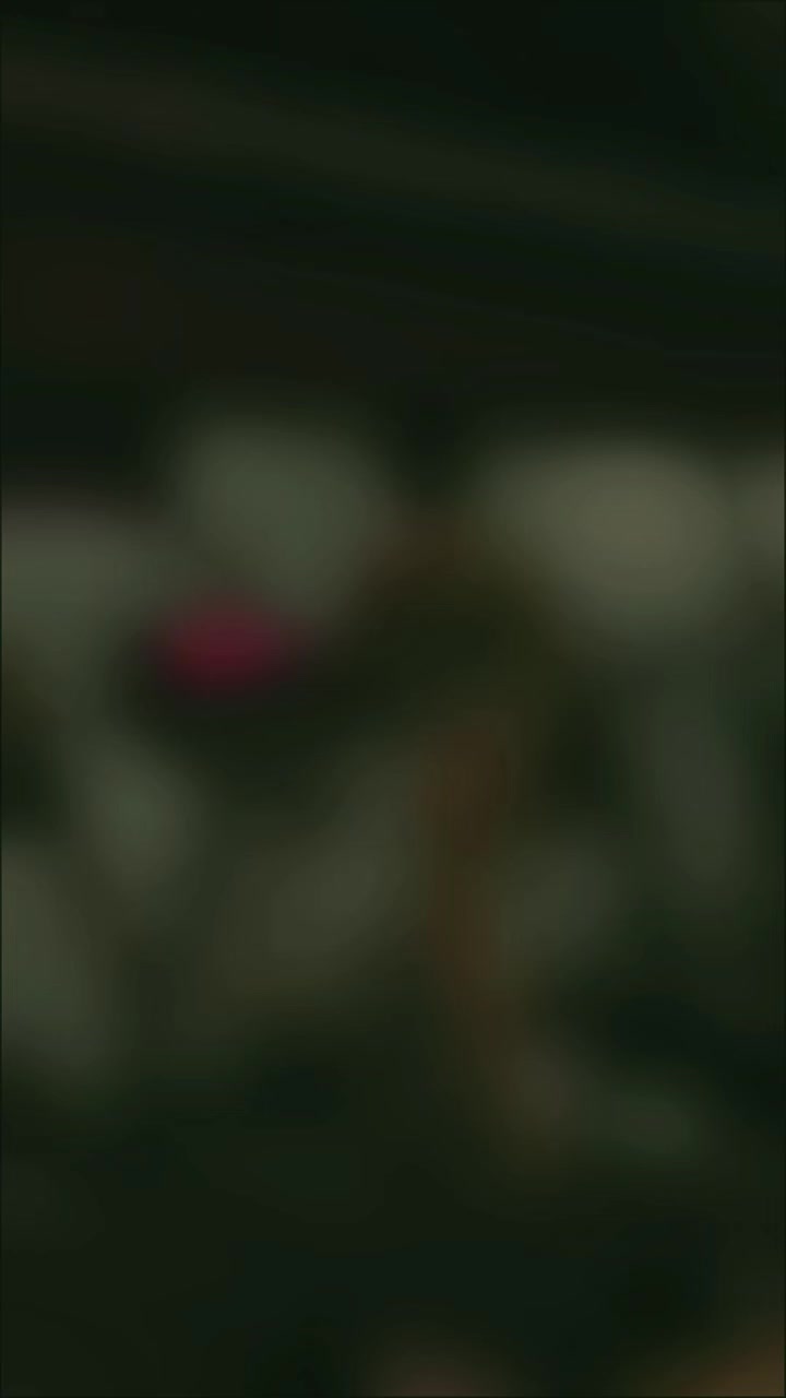 @ADI