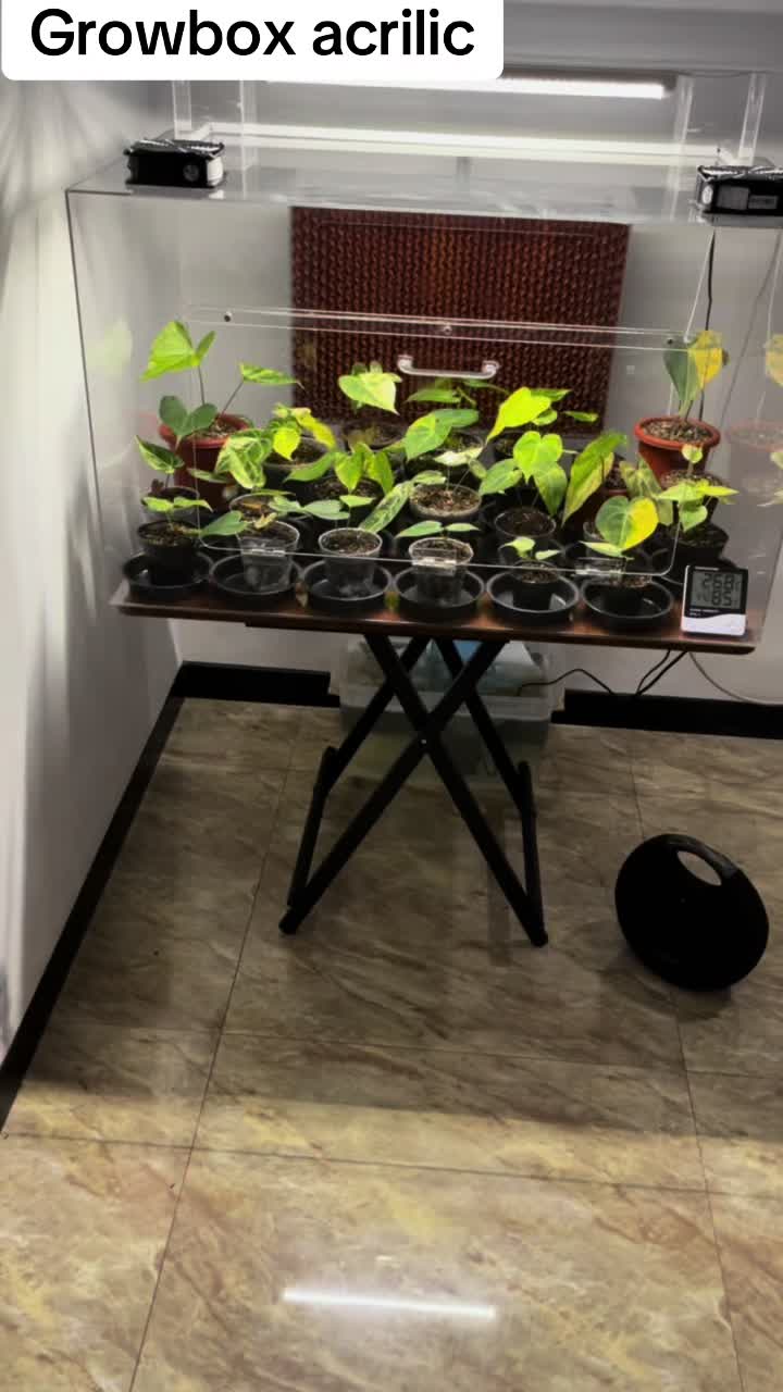 @secretgardens.id