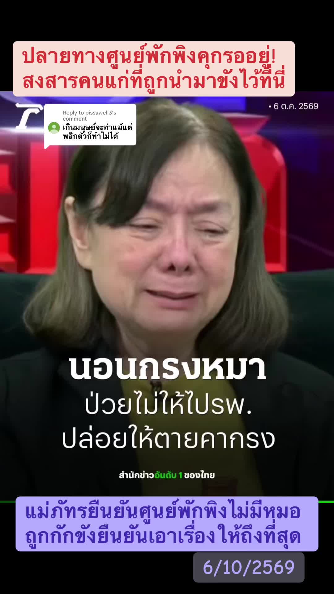 @ทาสแมว_News