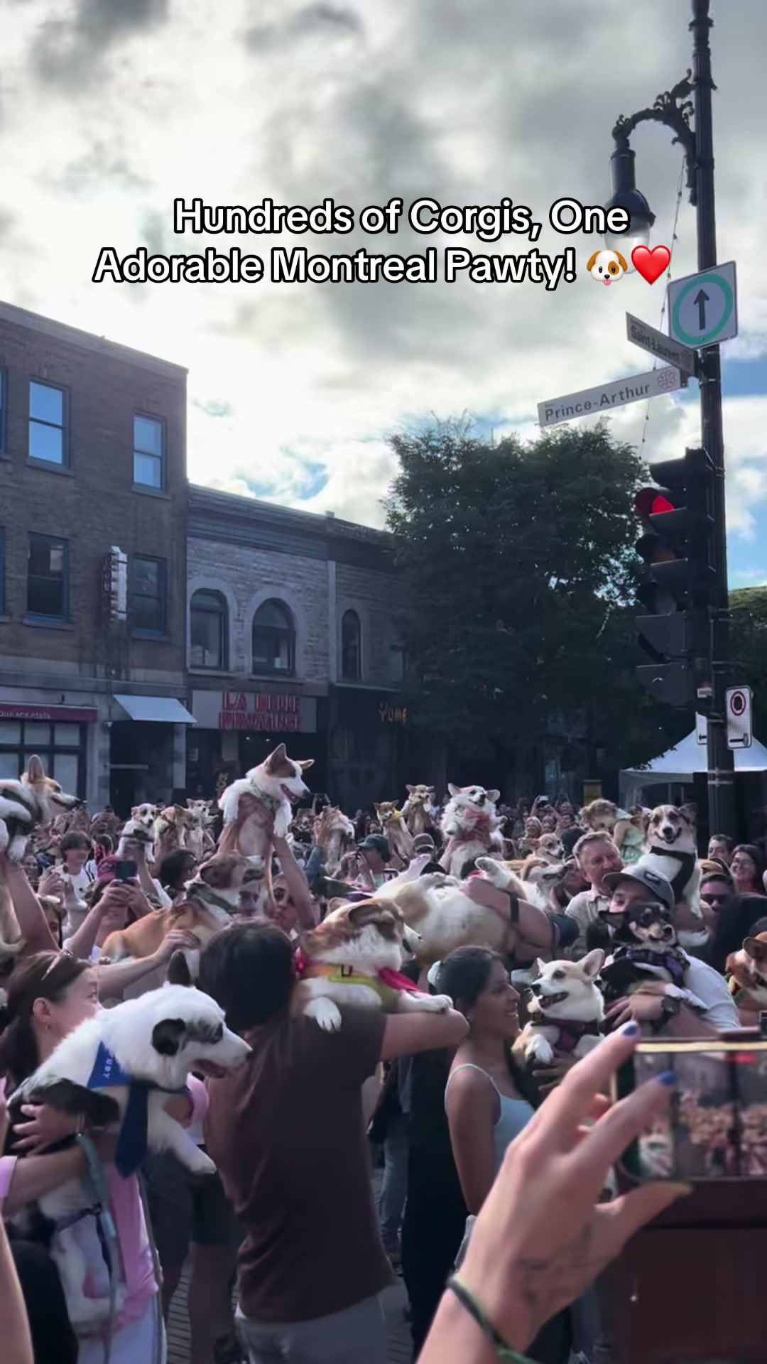@Montréal Stories