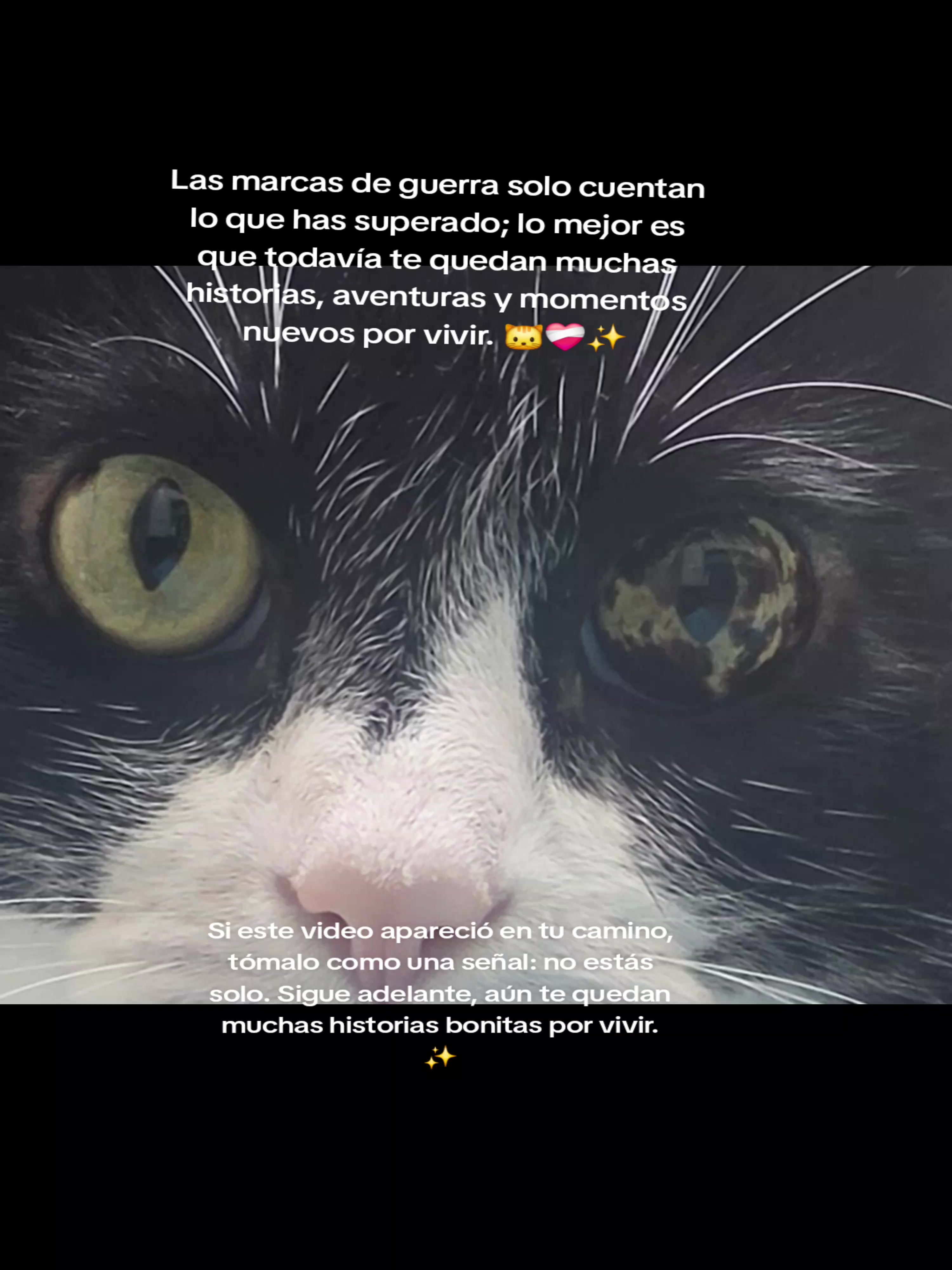 @Yessica García