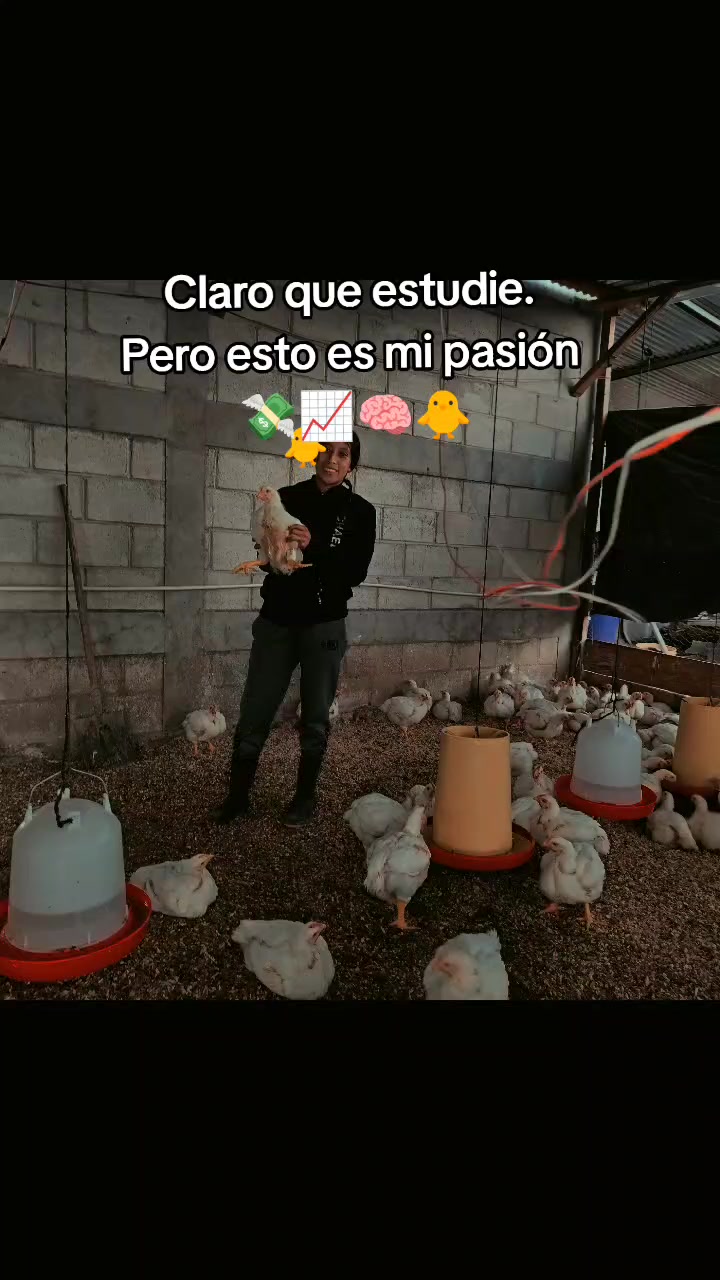@ElyAlonzo