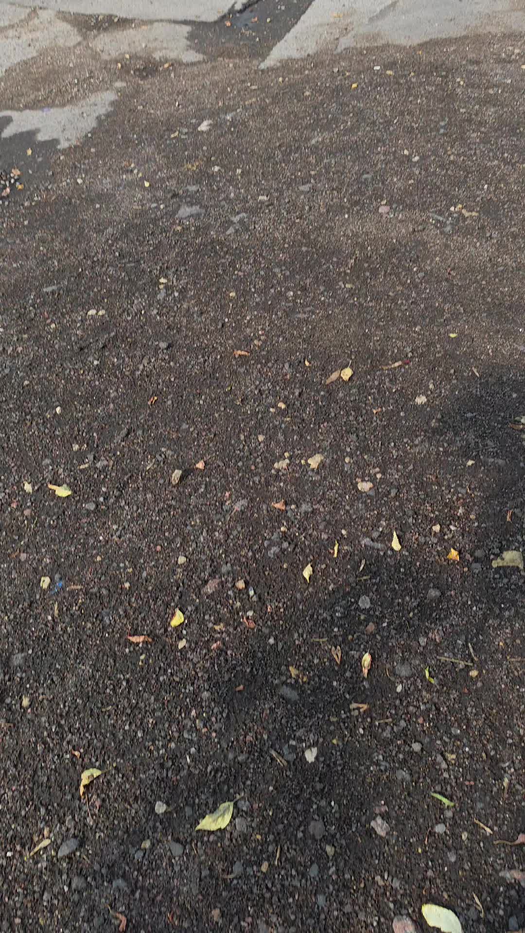 @кирилл