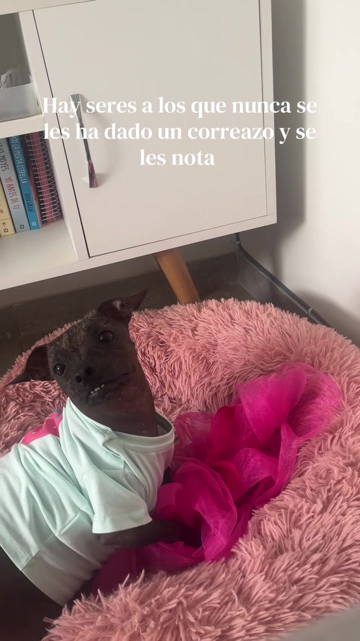 @Lilo
