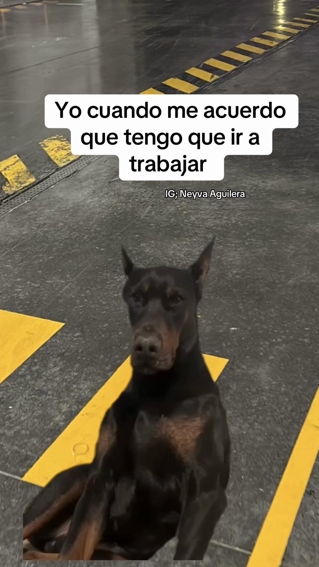 @Neyva Aguilera