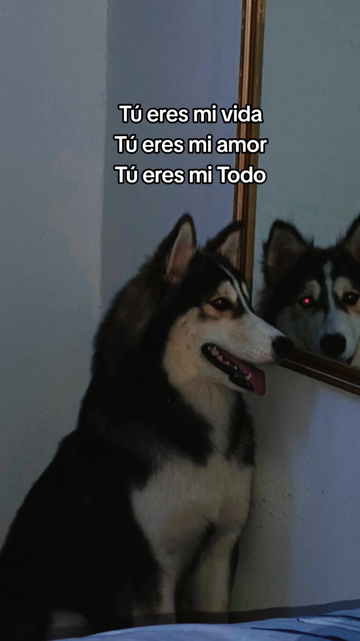 @María Vega🌻🇻🇪