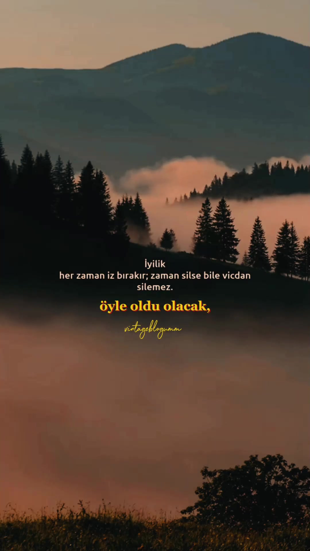 @Sezgin Meral