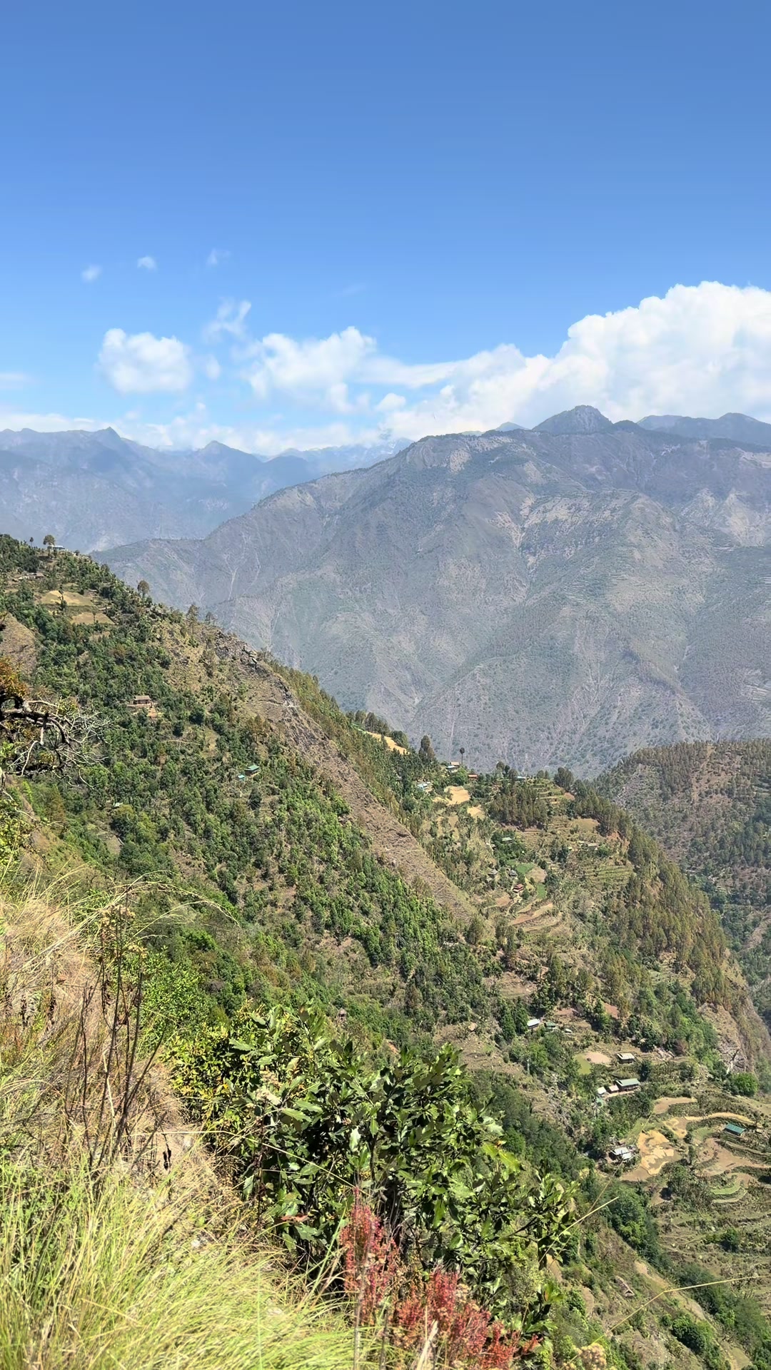 @OleeVlogs🇳🇵