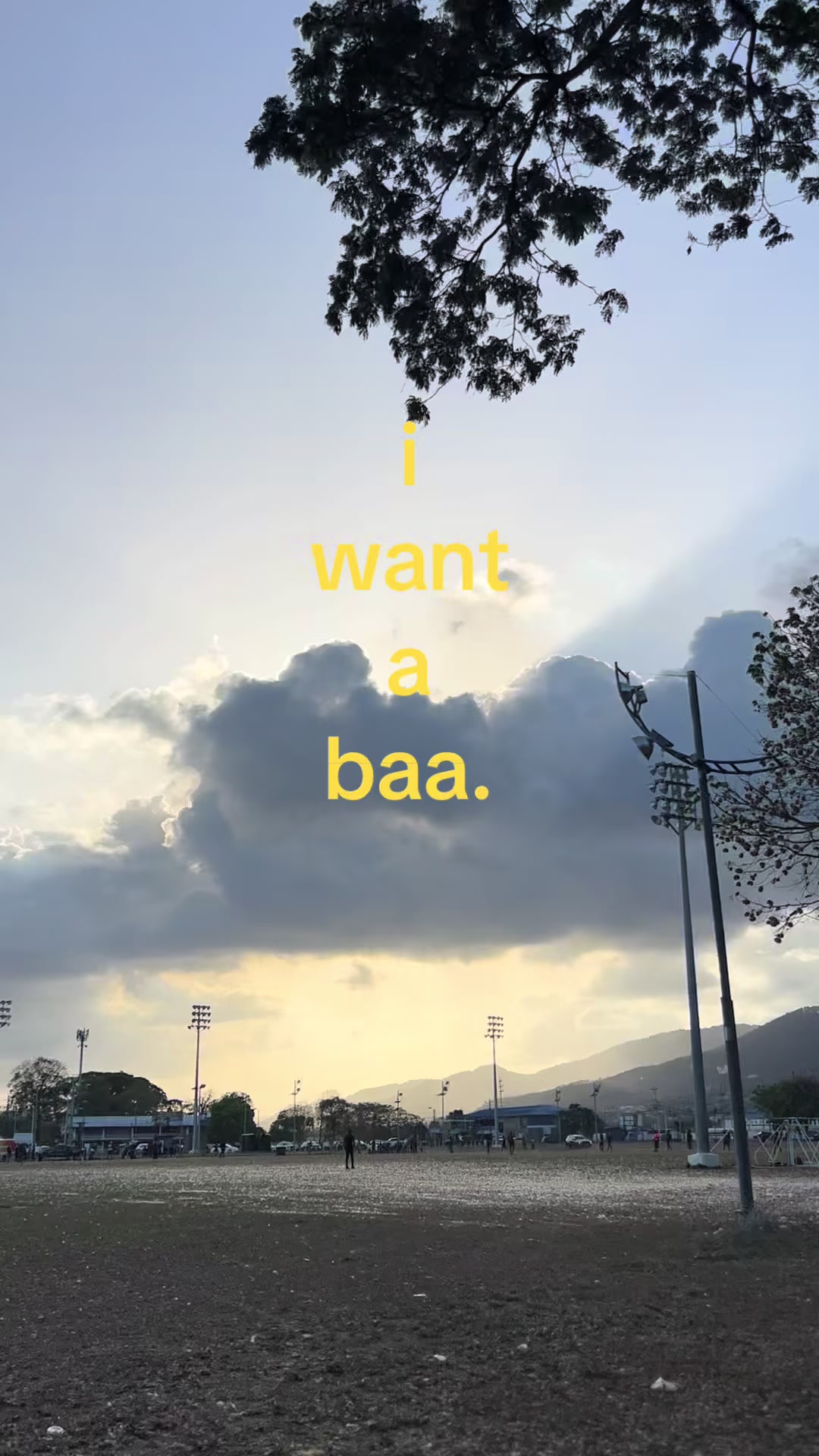 @nah-seek