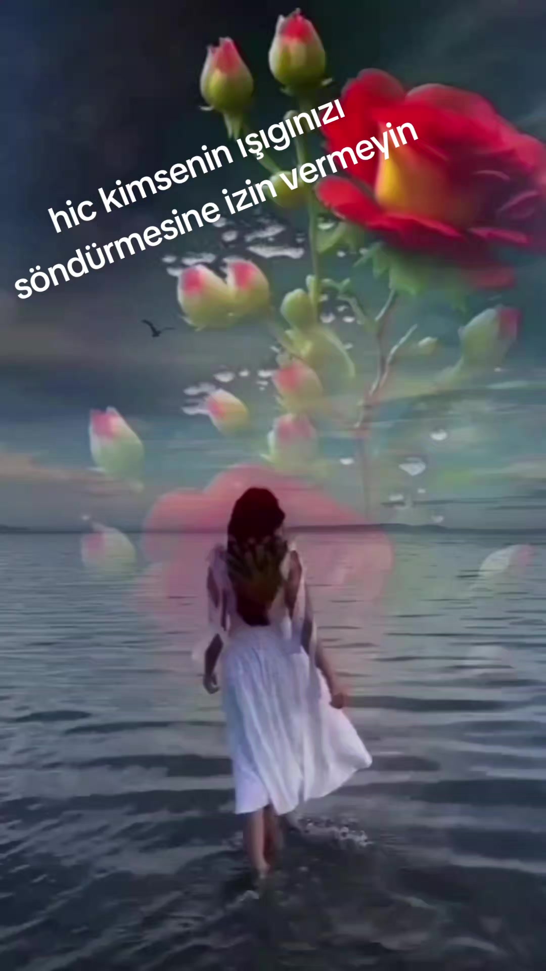 @Sevda çiçeği