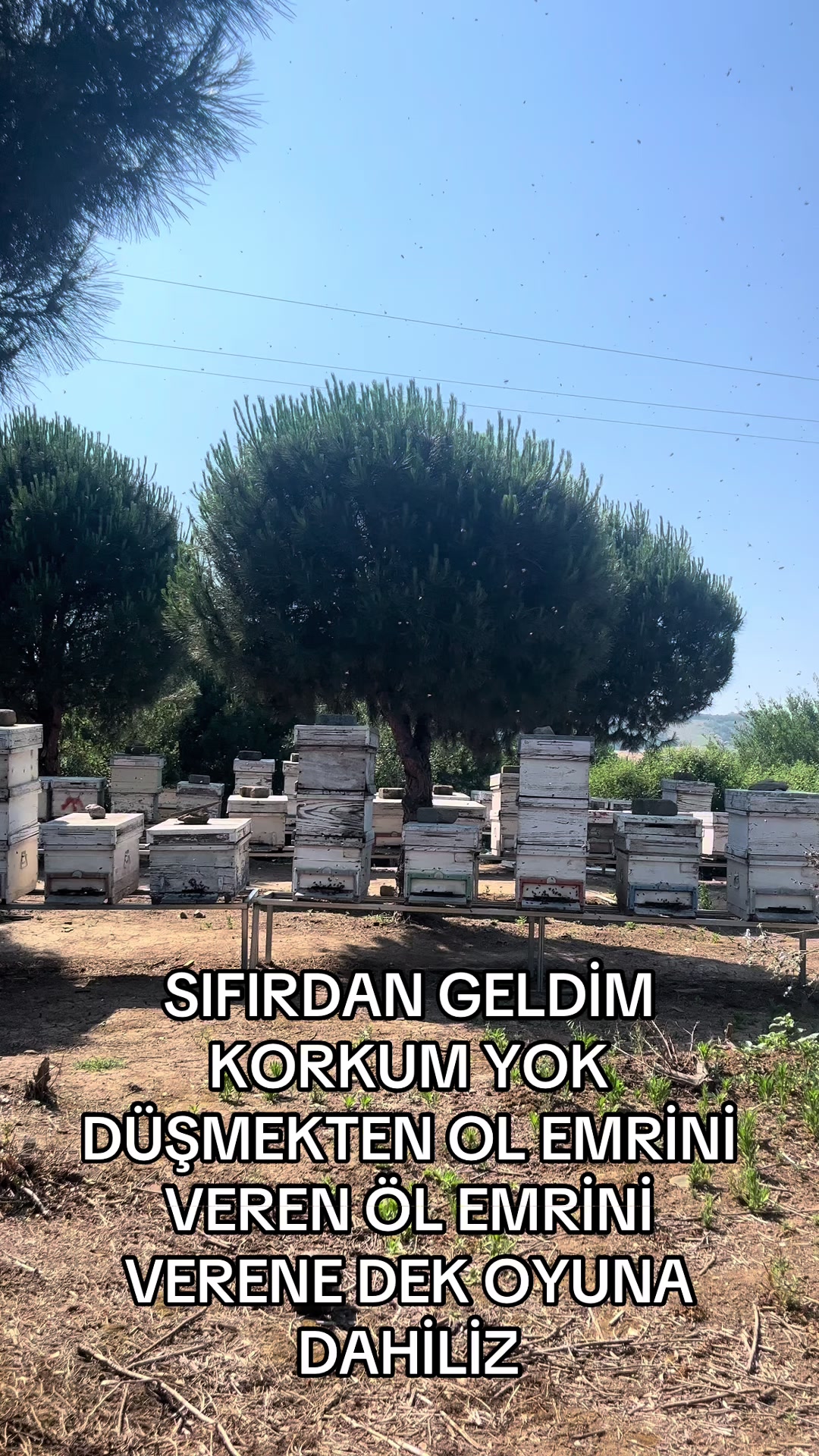 @Arıcı Furkan