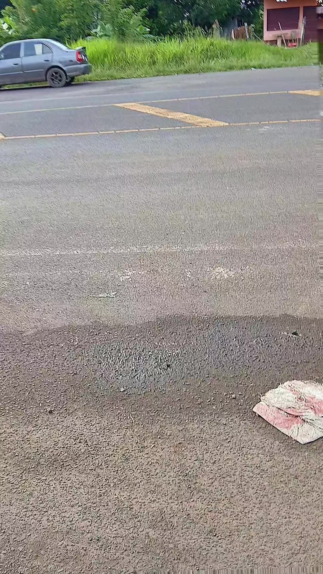 @buses de centroamérica
