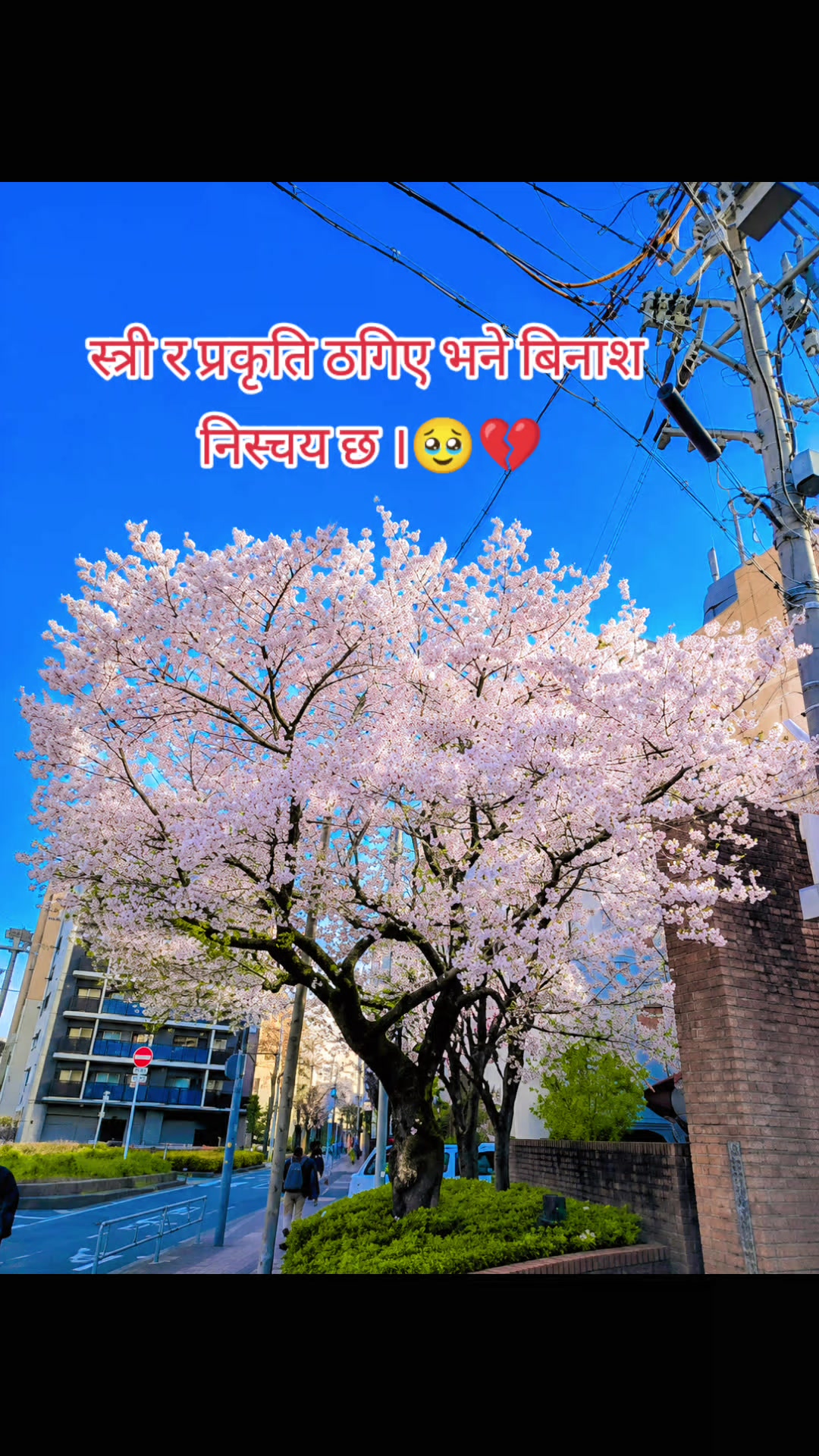 @Barcaholicᥫ᭡sosti🤌🫀