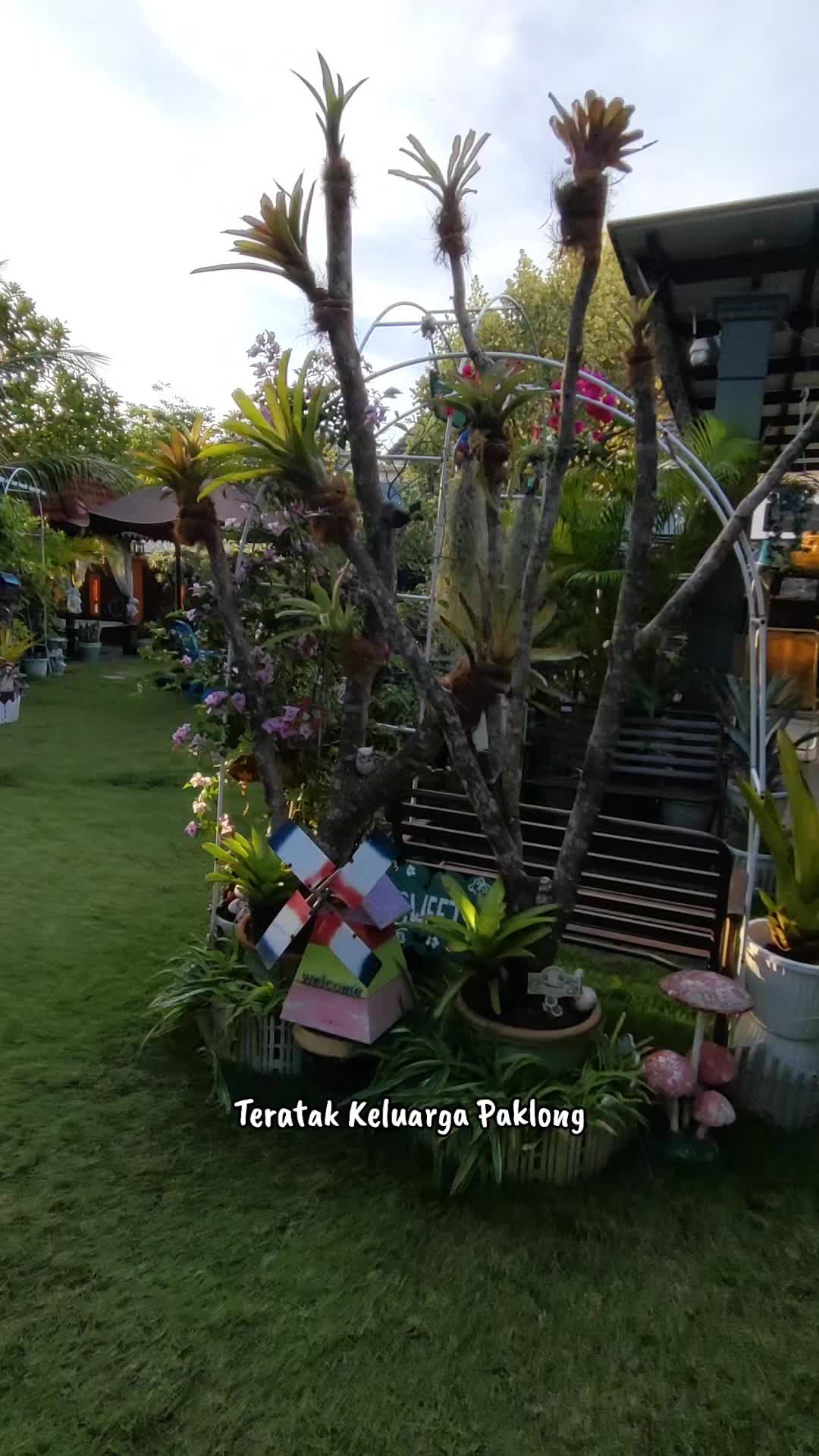 @Teratak Keluarga Paklong