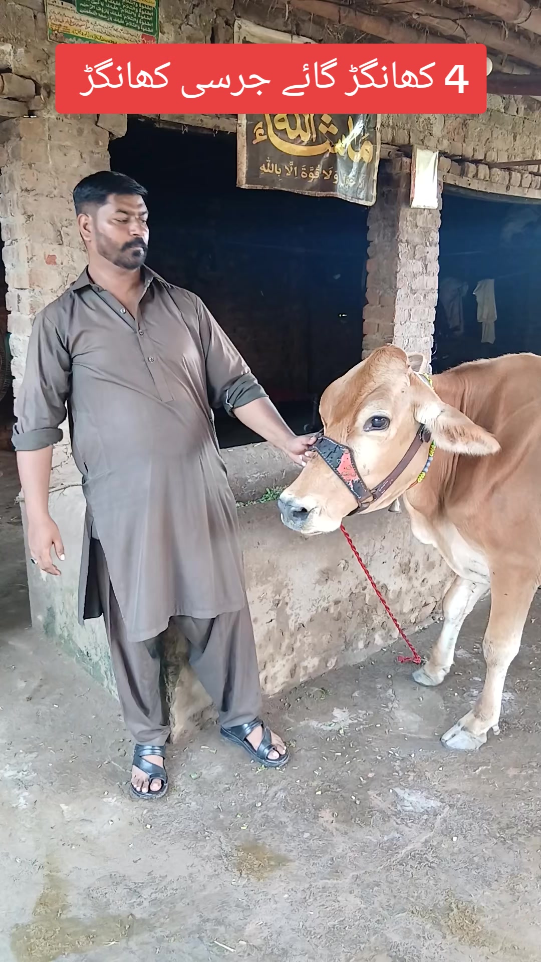 @Farming and Business Ideas
