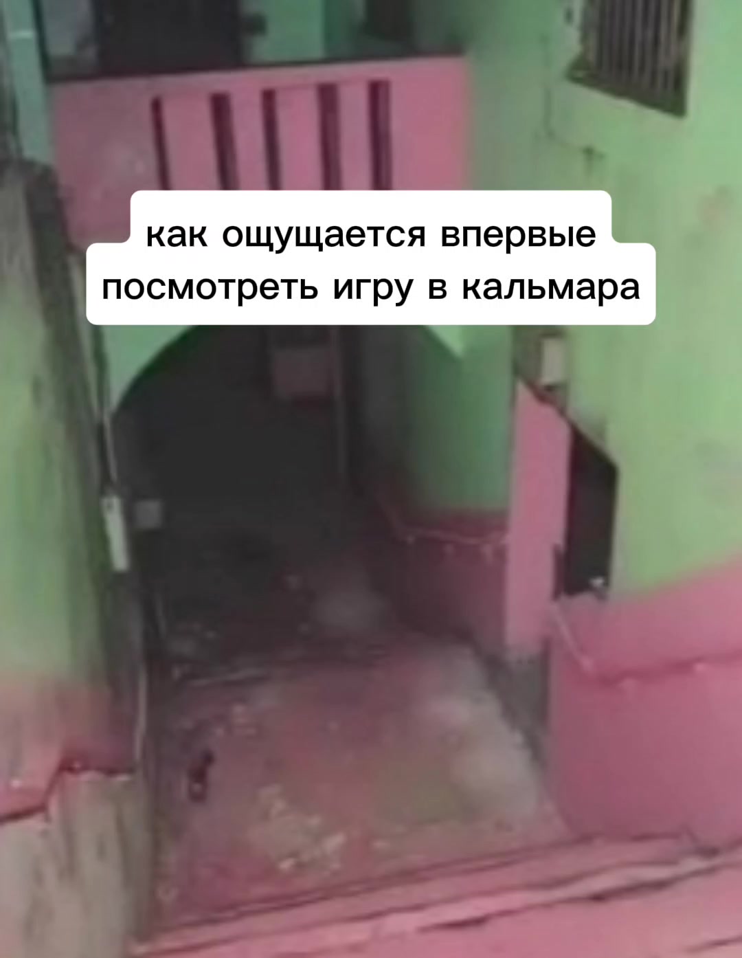 @кроличек🐰