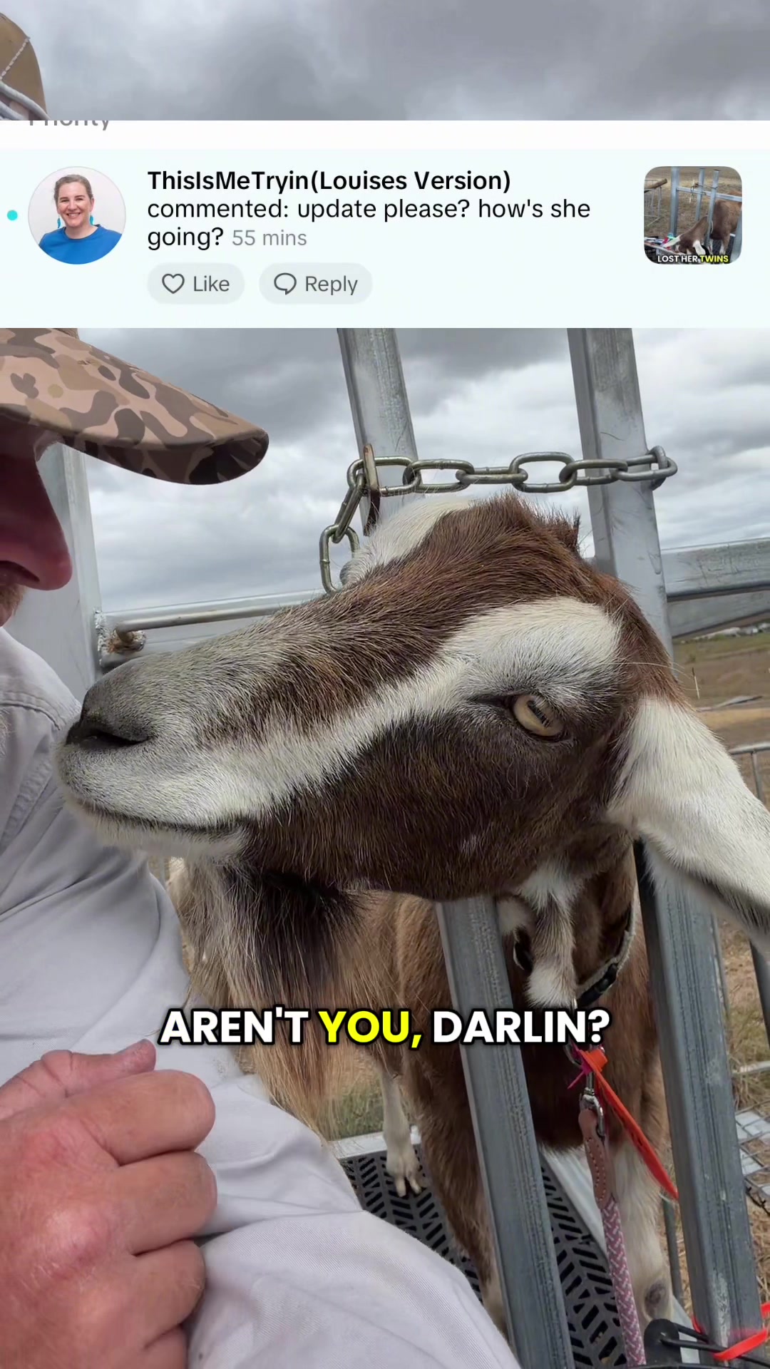 @Thegoatfather