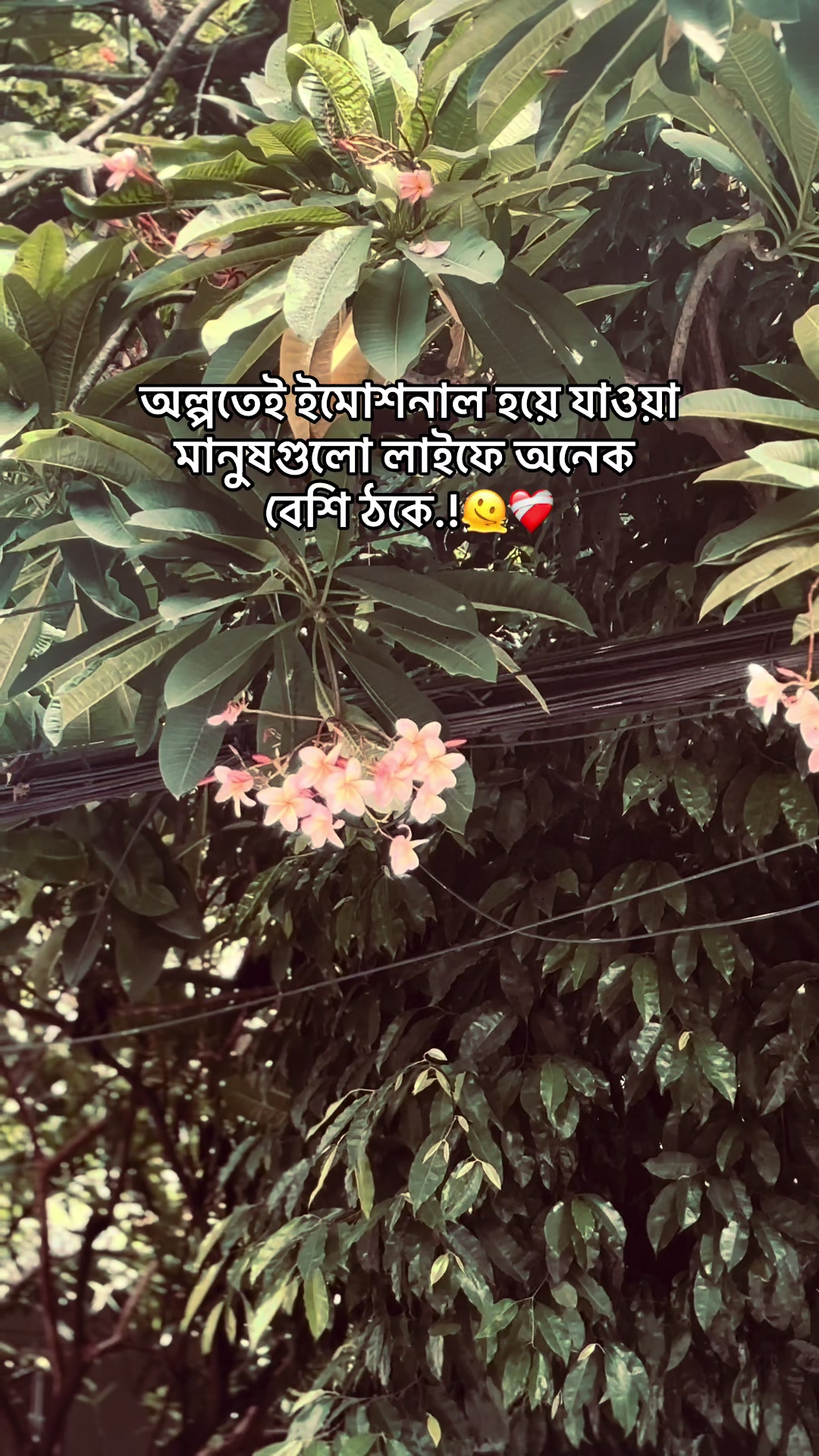 @Ꭲʜᴇ ✓ Ꮇᴀꜱᴛᴇʀ 