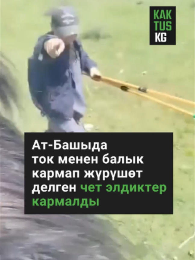 @Kaktus KG