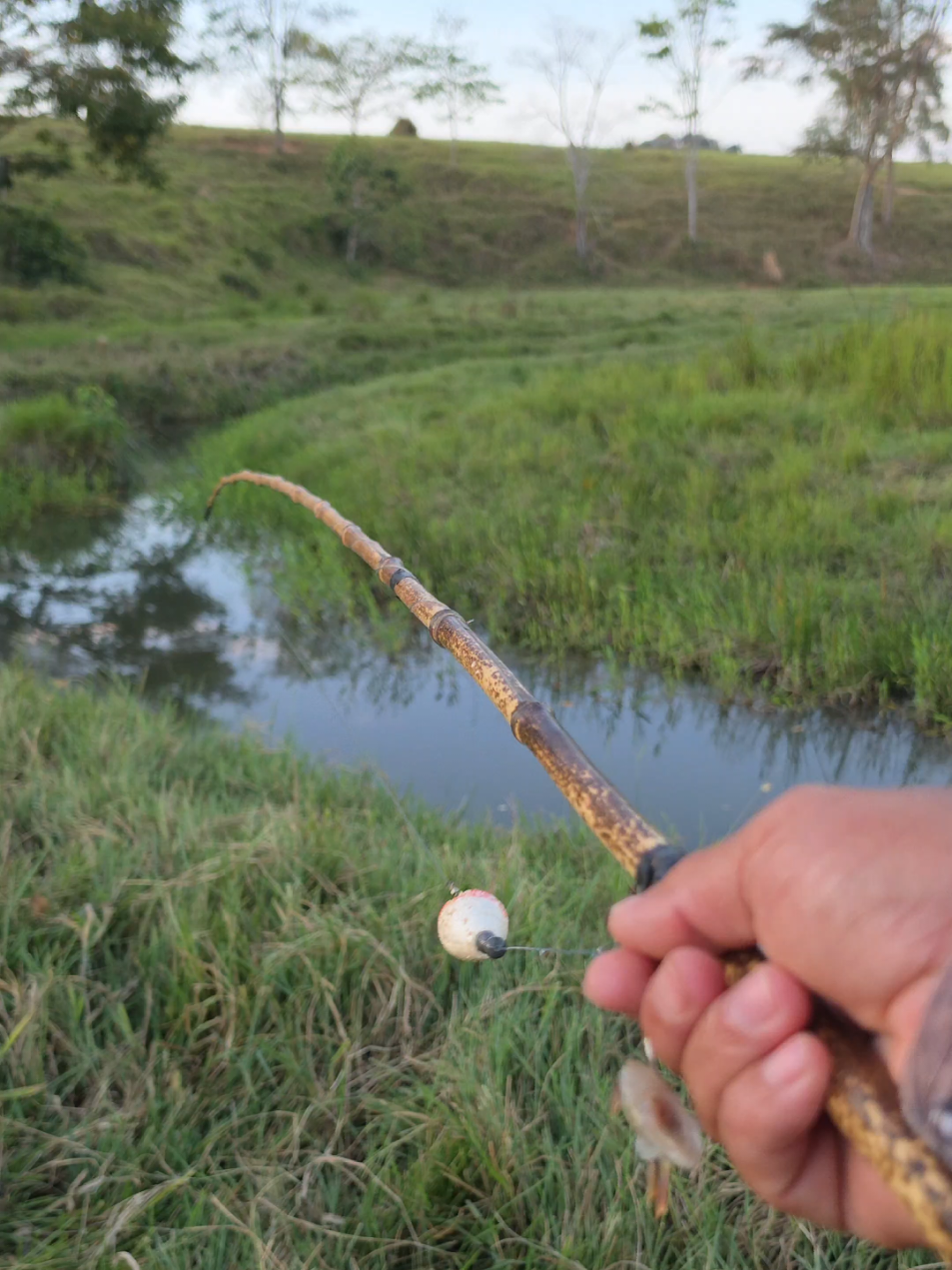 @De Rondônia Para O Mundo