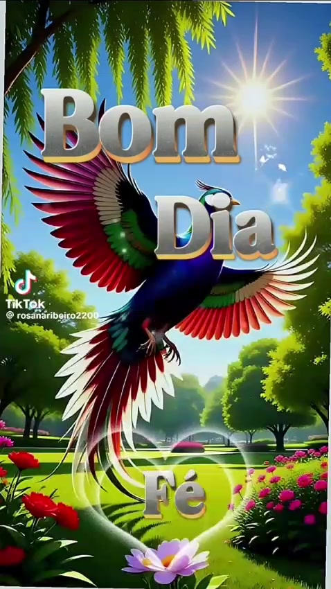 @Cida Cunha