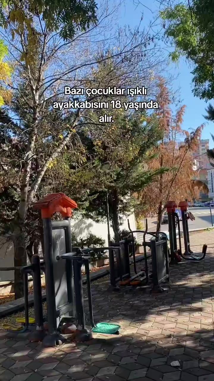 @nizoylcn