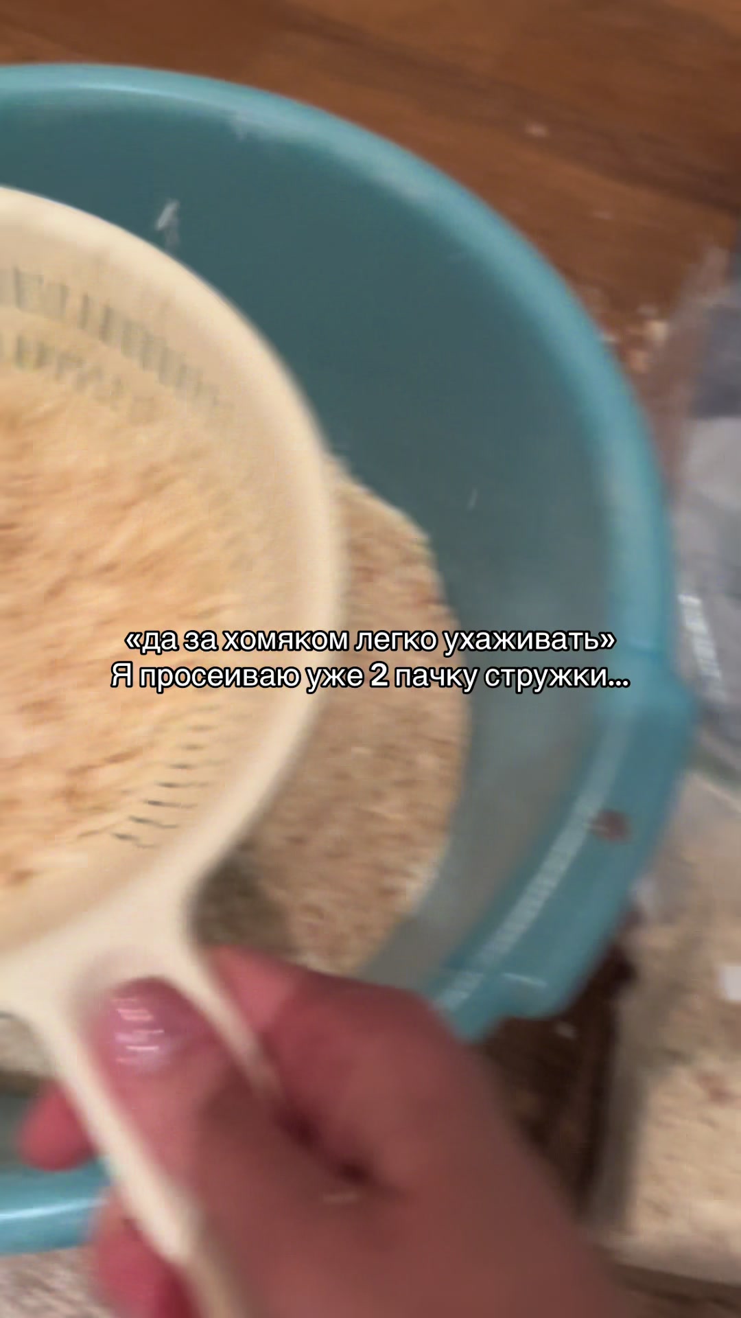 @хомяк Ричард 🐹