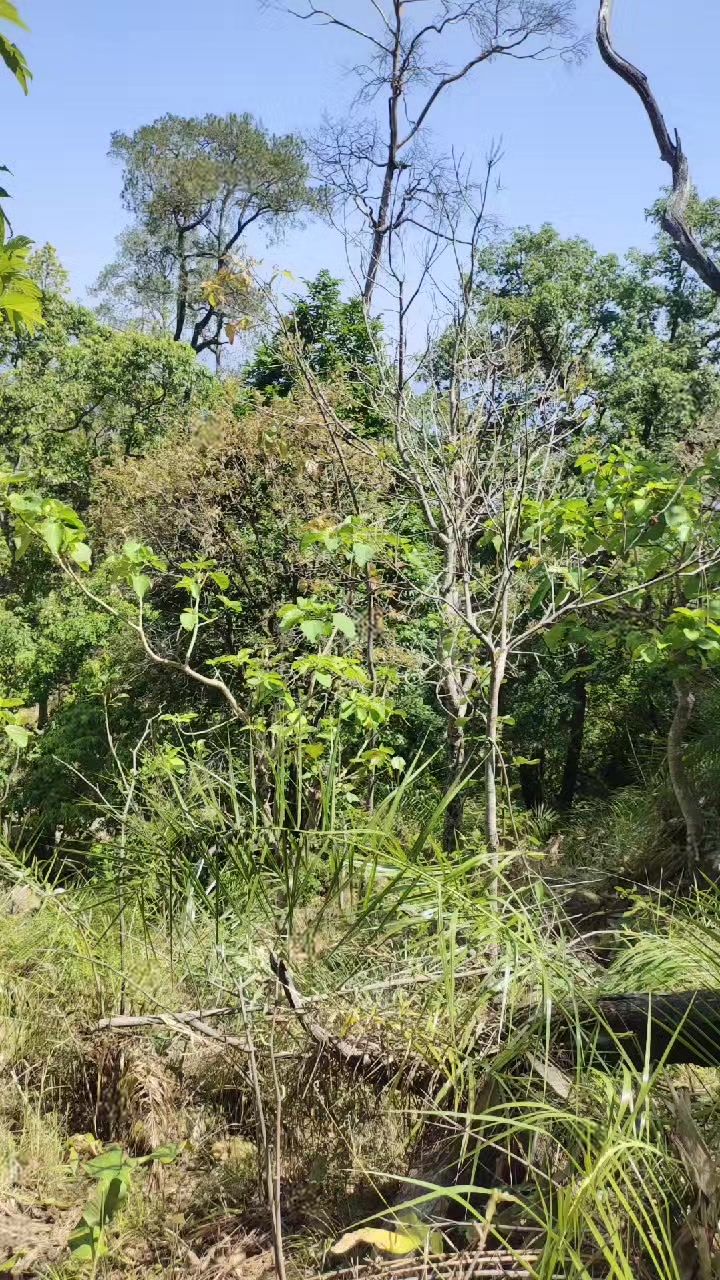 @amrita khadka oli