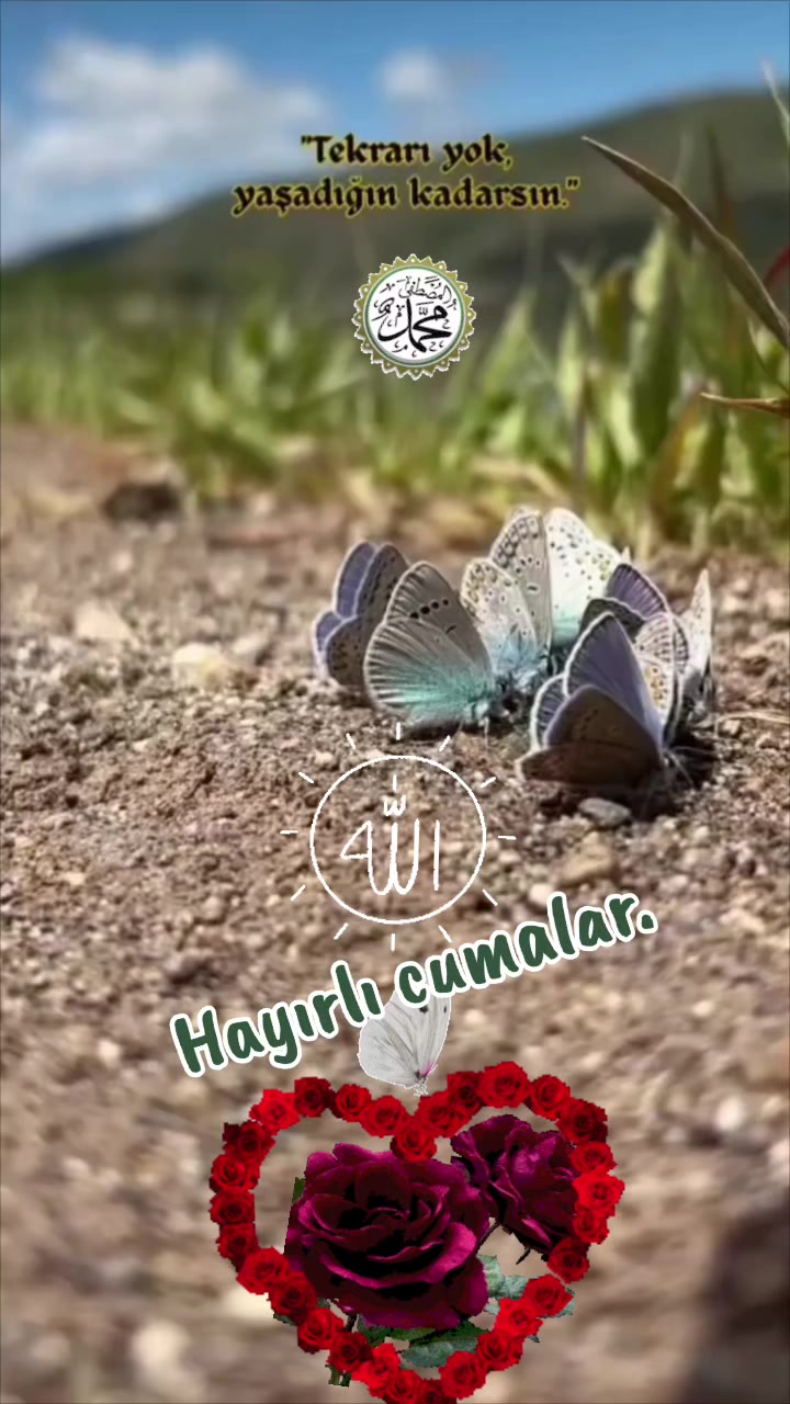 @Lila Yasemin