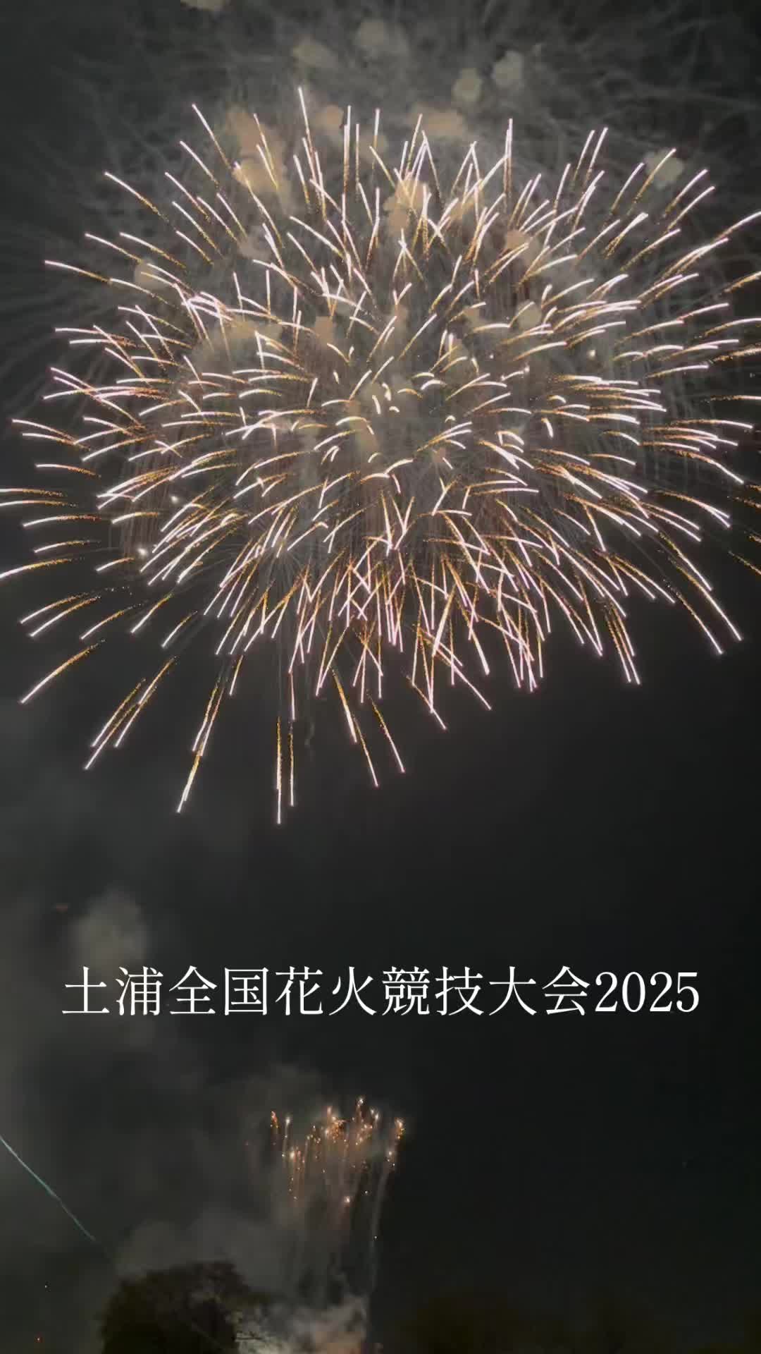 @äŒå³è¡éðïž³âðºðžðºðžðºðž