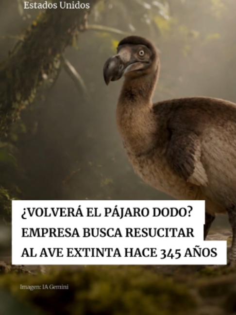 @Periódico Excélsior
